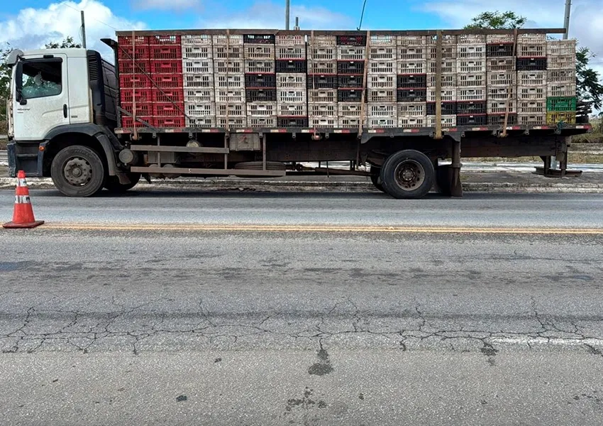 Polícia Rodoviária flagra transporte irregular de frangos em Vitória da Conquista