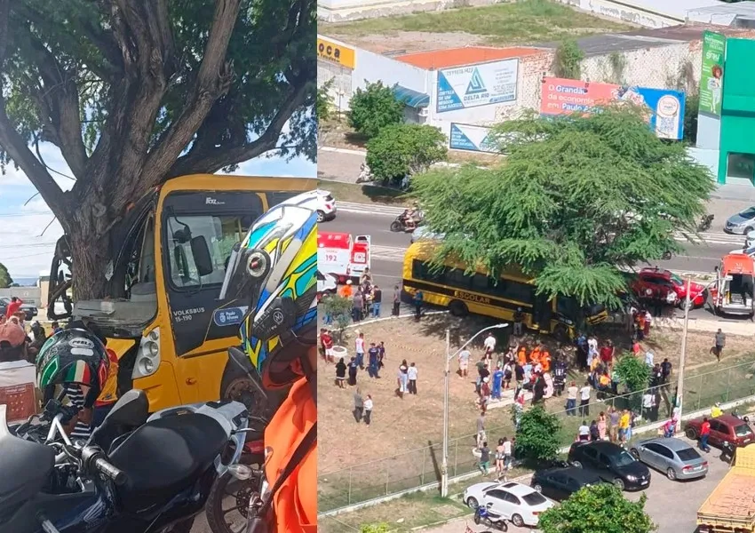 Ônibus escolar bate de frente com árvore em Paulo Afonso e deixa dez feridos