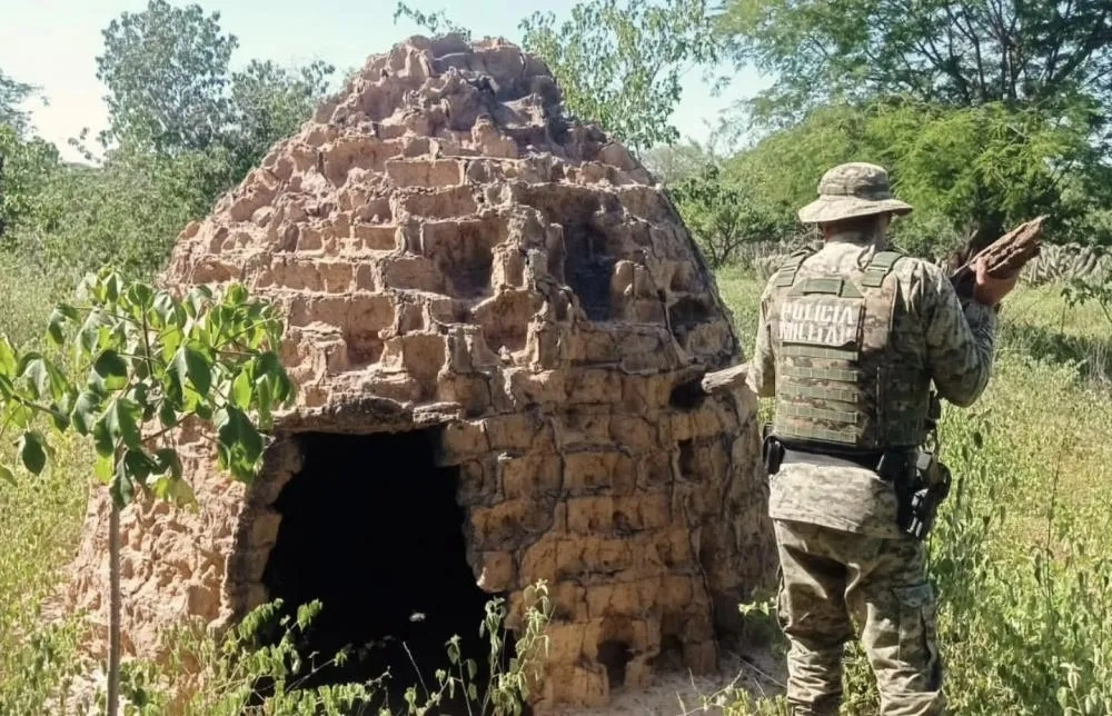 Polícia destrói fornos ilegais de carvão vegetal na zona rural de Ibipitanga