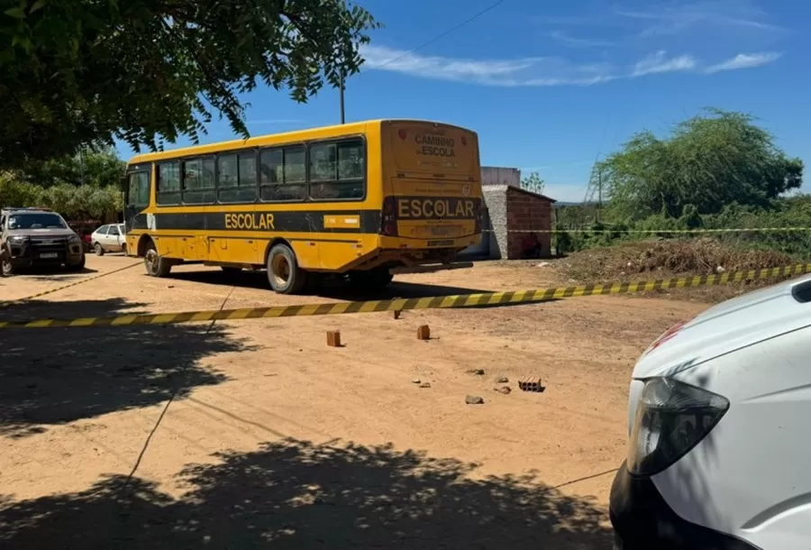Tragédia em Muquém do São Francisco: criança de oito anos morre atropelada