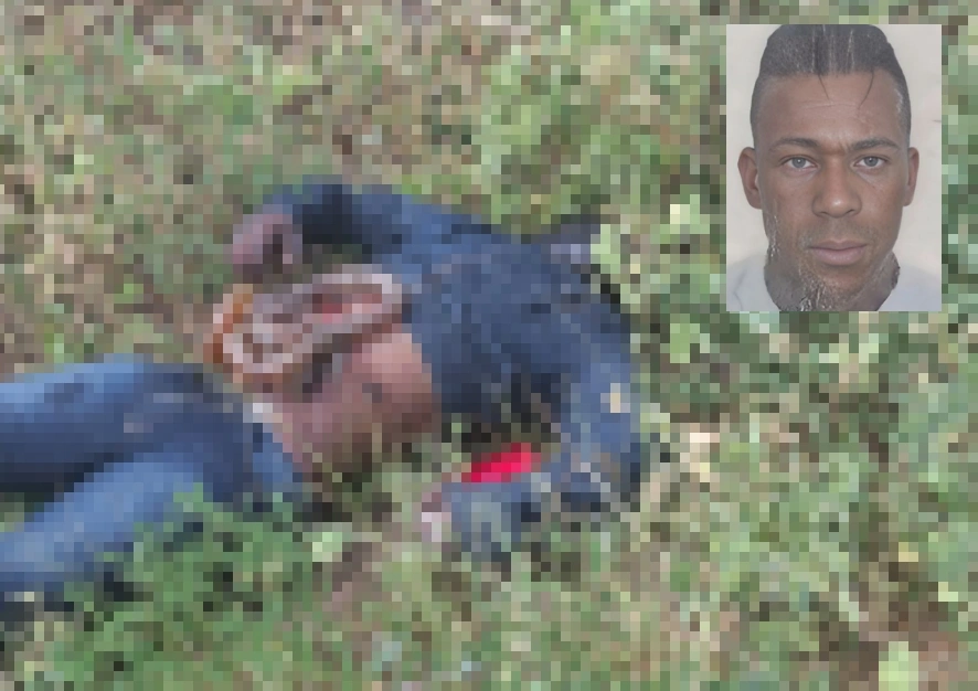 Corpo de suspeito de assalto é encontrado às margens da BR-030 em Tanhaçu