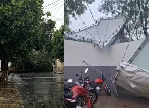 Rajadas de vento arrancam toldo de escola e derrubam árvore em Guanambi