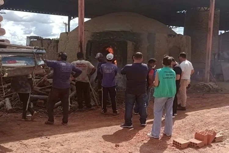Polícia Civil realiza incineração de drogas apreendidas em Carinhanha