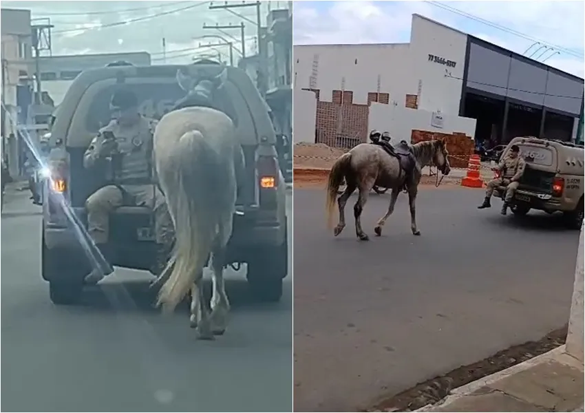 Homem é detido após agredir idoso com cavalo e ameaçar populares em Livramento