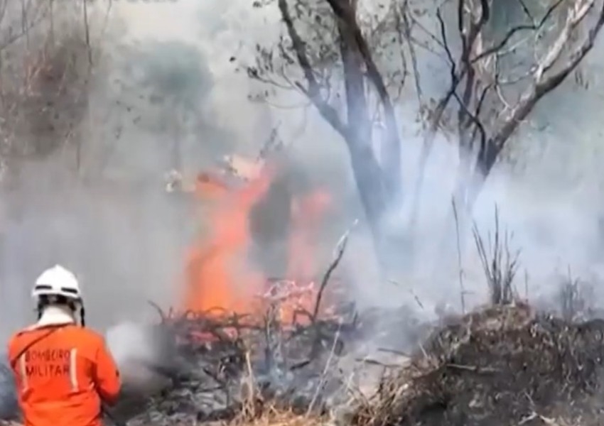 Incêndio atinge área de vegetação em Barreiras