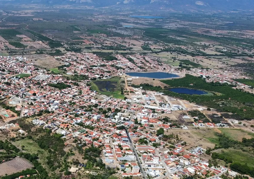 Moradores denunciam matança de animais domésticos por envenenamento em Livramento de Nossa Senhora