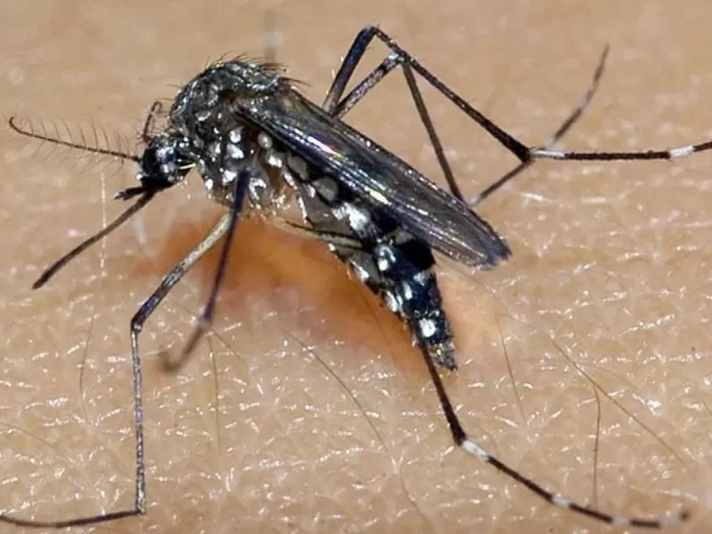 Bahia registra 78 mortes pela dengue