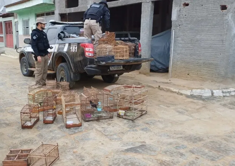 Quatro pessoas são presas em esquema de venda de animais silvestres