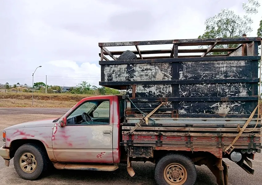 CIPRv/Brumado apreende veículo com transporte irregular de gado em Vitória da Conquista