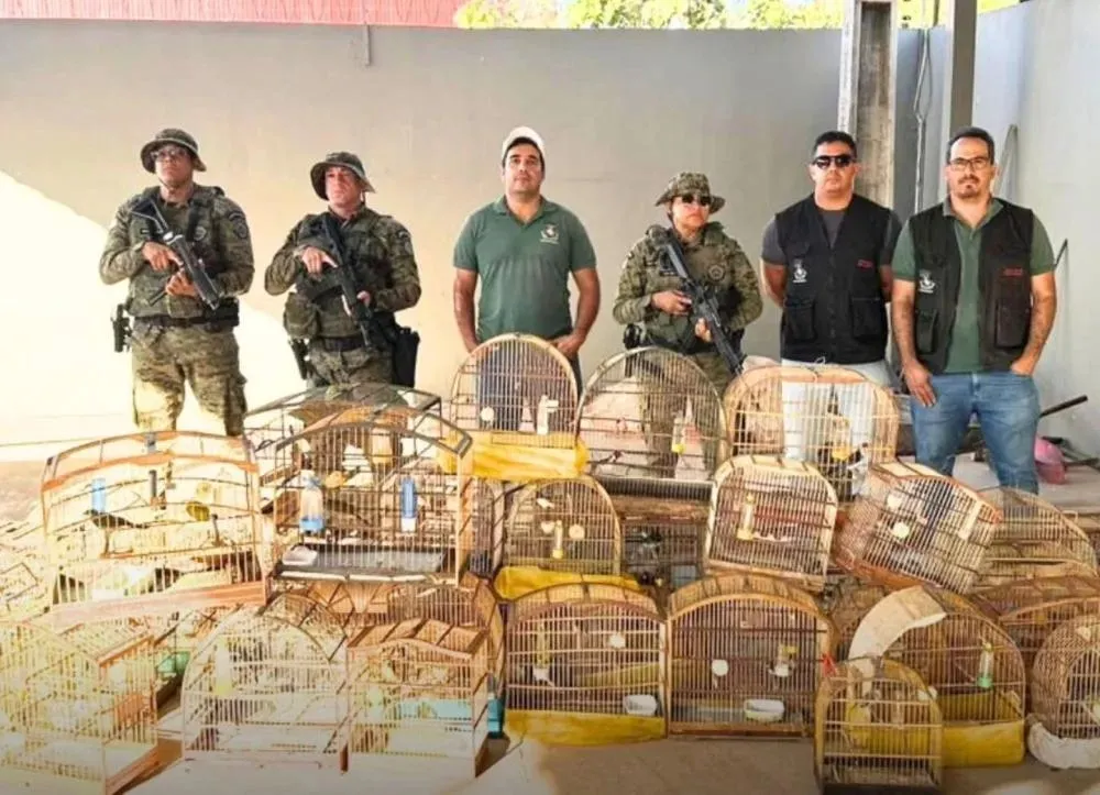 CIPPA resgata 54 aves silvestres mantidas em cativeiro em Luís Eduardo Magalhães