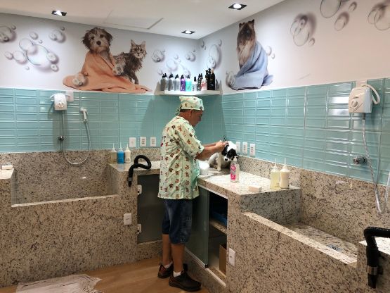Galeria da notícia