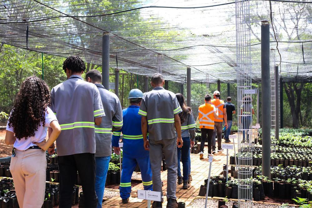 RHI Magnesita distribui mais de 3 mil mudas em Brumado