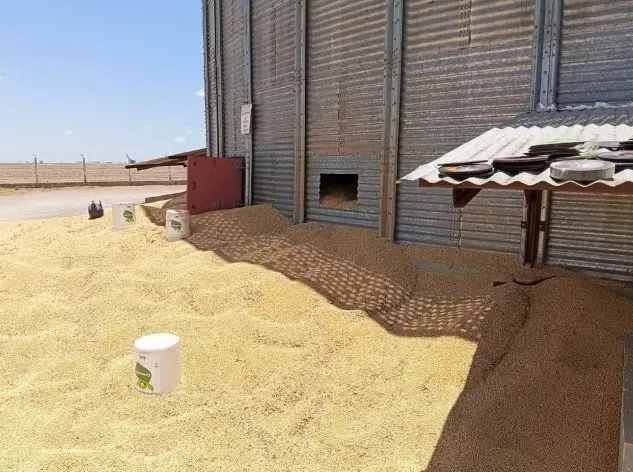 Trabalhador morre soterrado após desabamento de silo em Luís Eduardo Magalhães