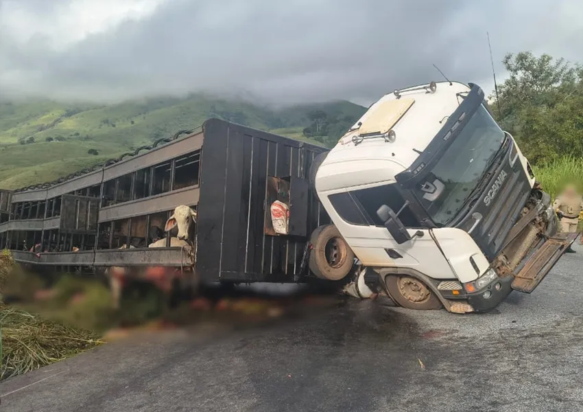 Acidente com caminhão na Serra do Marçal deixa animais mortos e gera aglomeração na rodovia