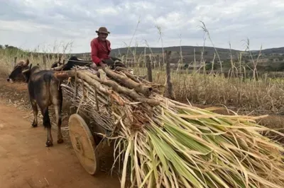MPF exige paralisação de pesquisa mineral em Licínio e cobra R$ 5 milhões em danos