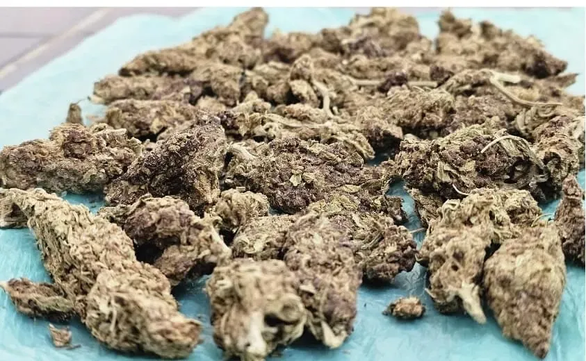 Polícia Rodoviária apreende maconha em operação na BA-262, em Vitória da Conquista