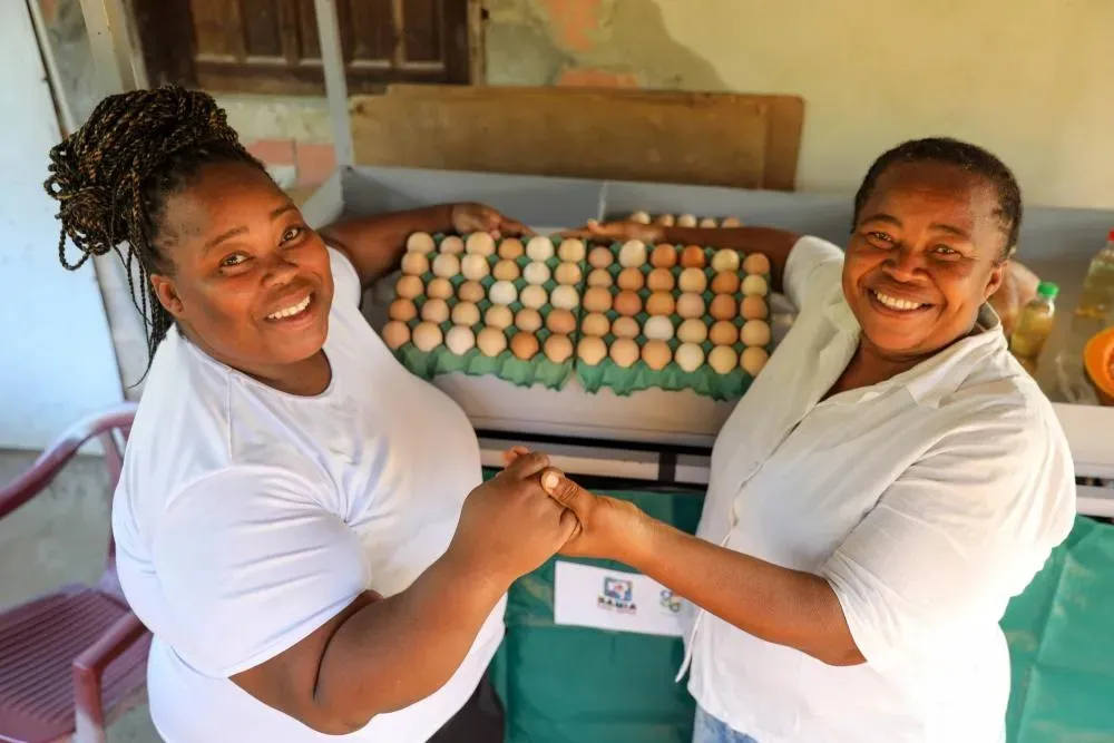 Agricultura familiar impulsiona recorde de produção de ovos na Bahia