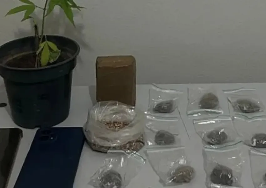Polícia Militar apreende drogas durante ação em Rio do Pires