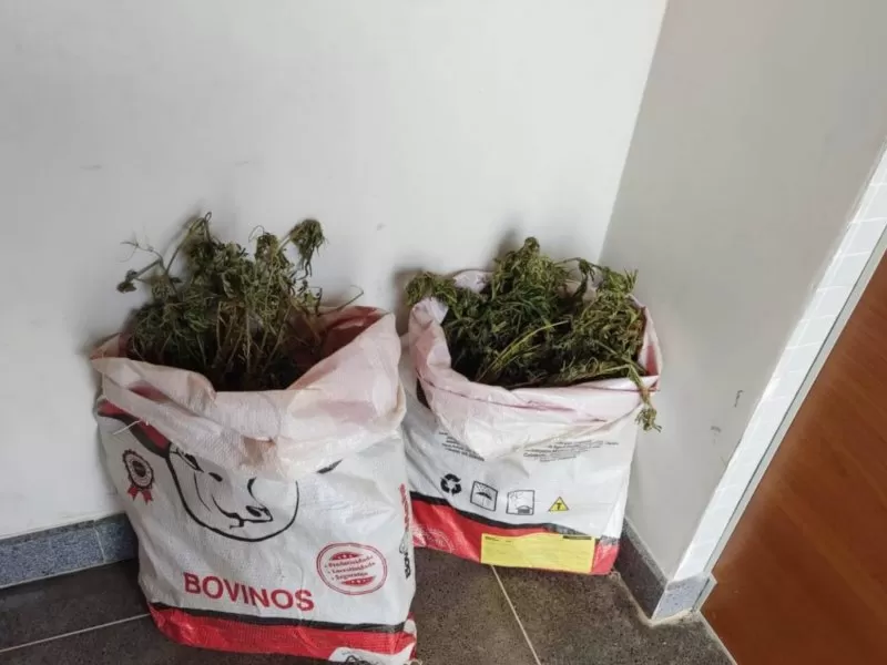 Dupla é presa com 8kg de maconha em Irecê