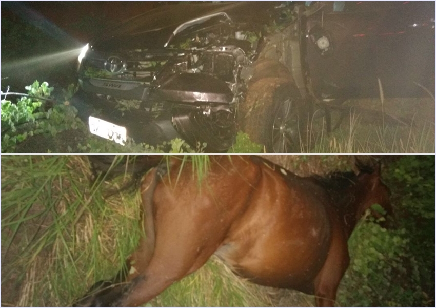 Brumado: Acidente envolvendo carro e cavalo é registrado na BA-148