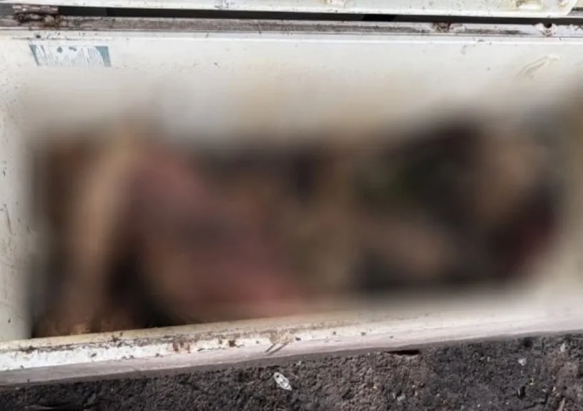 Corpo em decomposição é encontrado dentro de freezer em Belmonte