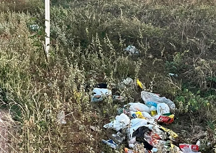 Moradores denunciam descarte irregular de lixo em Dom Basílio