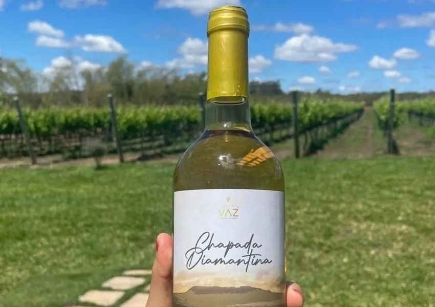 Rota do Vinho da Chapada Diamantina desperta interesse em eventos de turismo no Sul e Sudeste