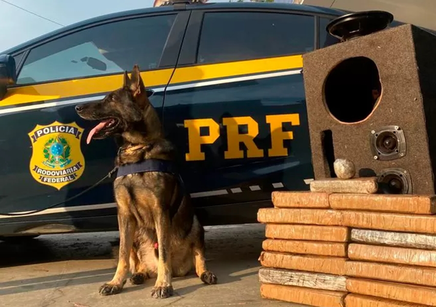 PRF faz nova apreensão de drogas em caixa de som: quase 29kg de maconha