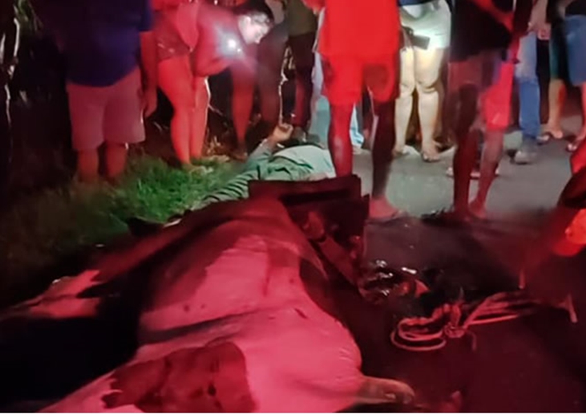 Motociclista morre após colidir com cavalo na BA-489 em Prado