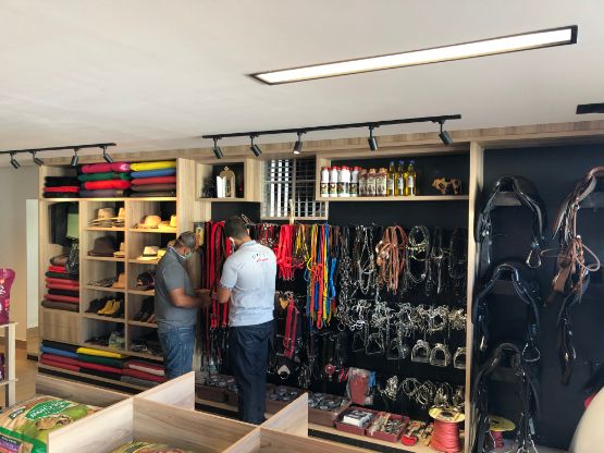 Galeria da notícia