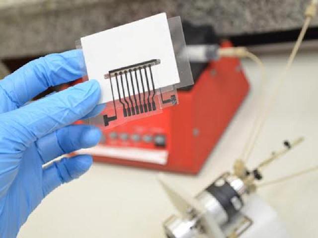 Brasileiros criam método simples para diagnóstico de Alzheimer