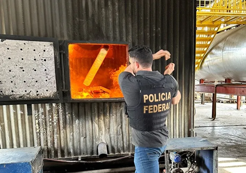 Polícia Federal incinera duas toneladas de Maconha em Vitória da Conquista