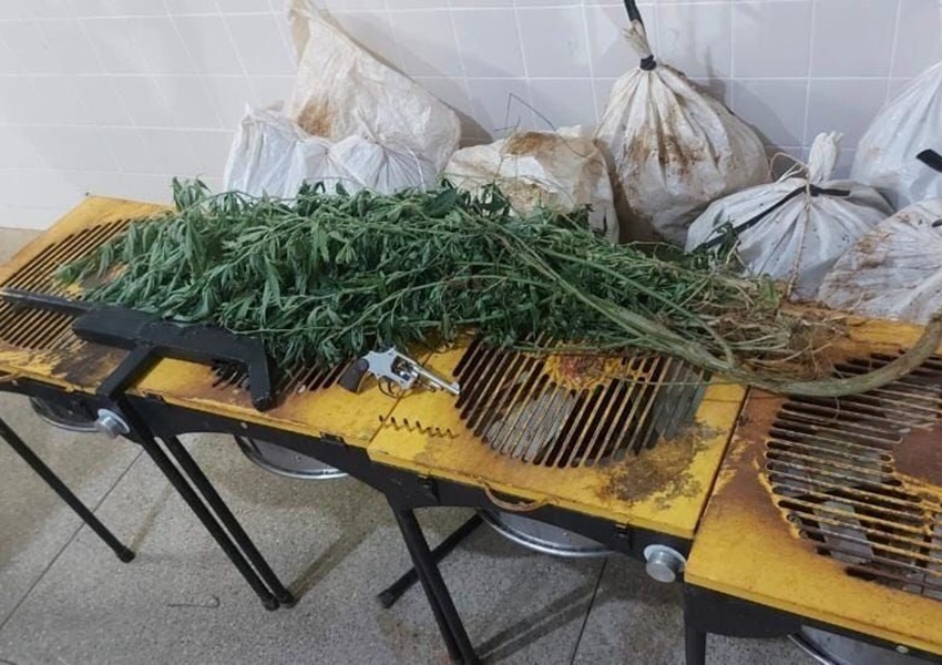 Polícia apreende 12kg de maconha na região da Chapada Diamantina