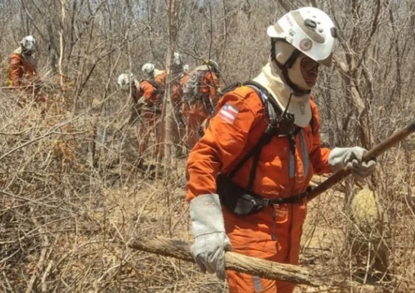 Corpo de Bombeiros age rápido para controlar incêndios em 16 municípios Baianos