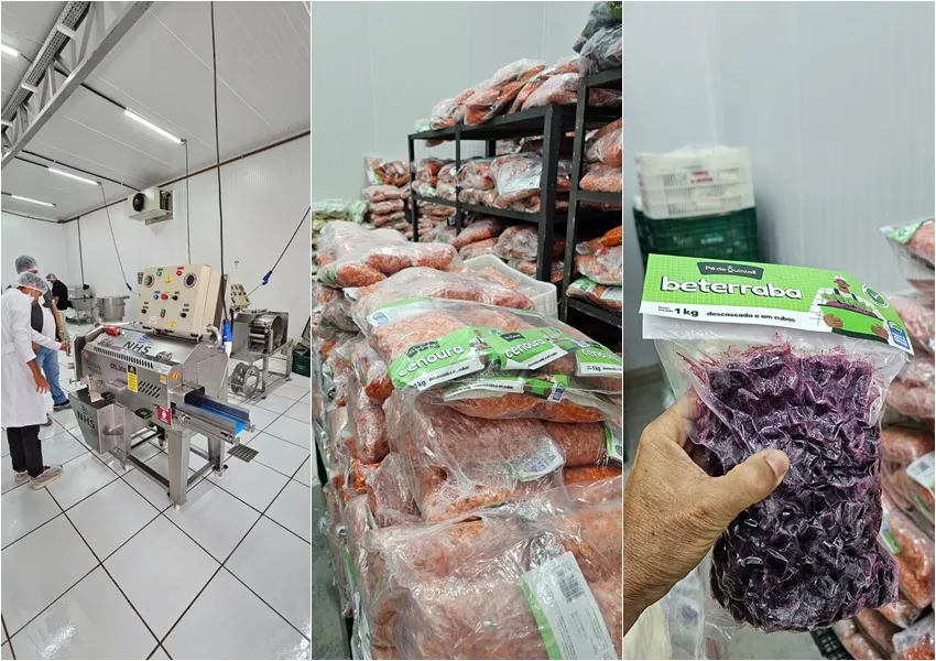 Livramento estuda adaptação de prédio público para projeto de fruticultura
