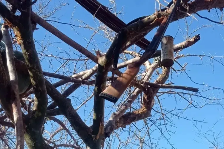 Homem morre em acidente durante caça na zona rural de Jacaraci