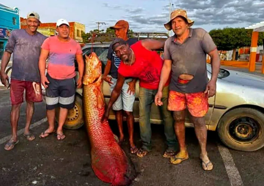 Mais um pirarucu gigante é pescado no sudoeste baiano