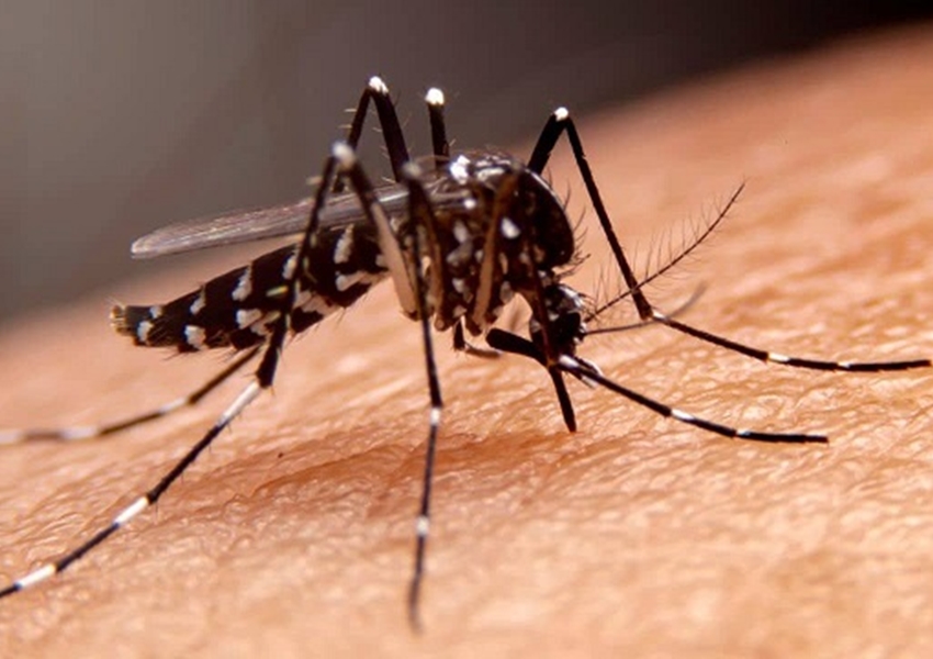 Bahia confirma terceiro óbito por dengue e 23 municípios em estado de epidemia