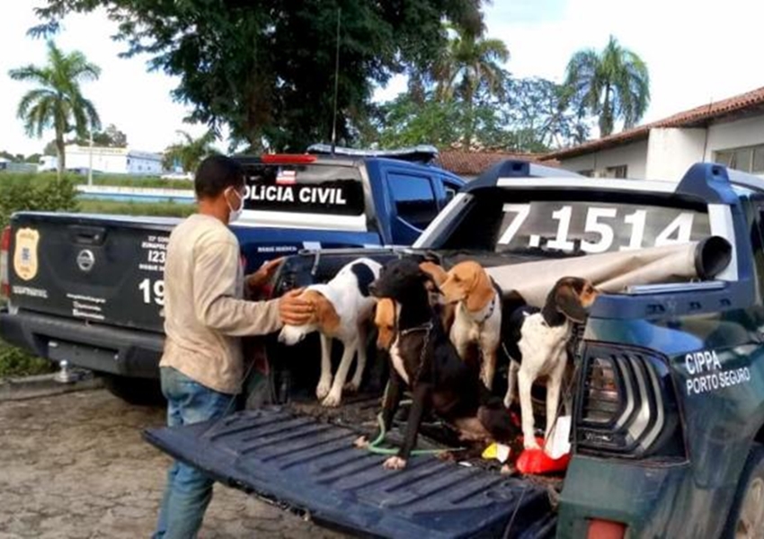 Eunápolis: Polícia prende dois homens e resgata seis cachorros vítimas de maus-tratos