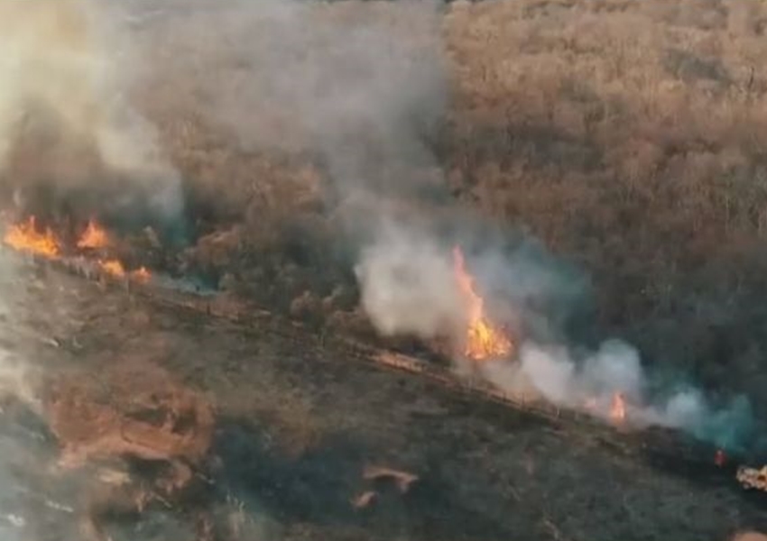 Guanambi: 90 hectares de vegetação são destruídos em incêndio