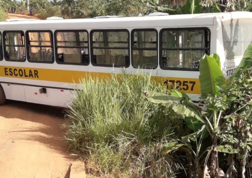 Ilhéus: Motorista de ônibus escolar bate em árvore após veículo perder freios