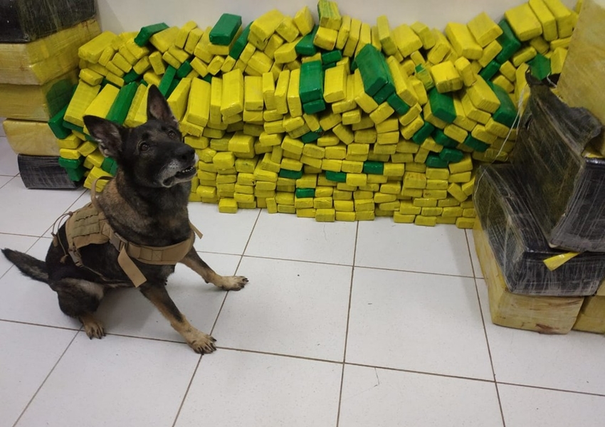 Cão farejador acha 1,5 tonelada de maconha em caminhão e motorista é preso na Bahia