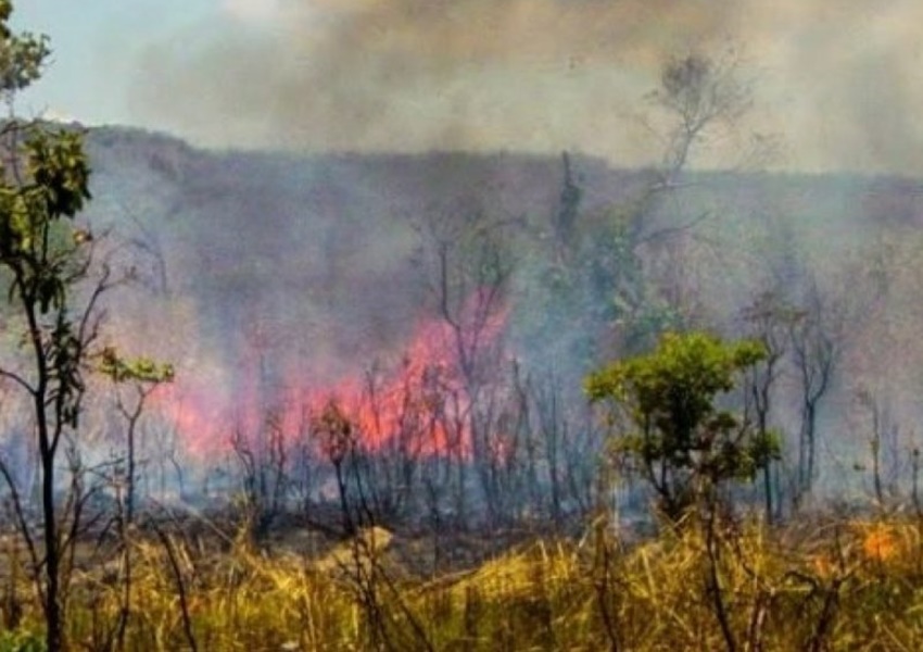 Bahia é quinto estado com maior número de queimadas em 2022