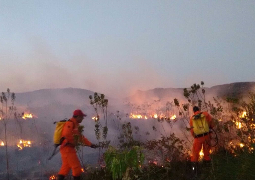 Três municípios baianos receberão brigadas para prevenir e combater incêndios florestais