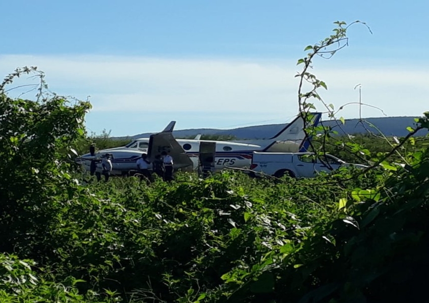 Ibotirama: Avião com doses da vacina da Covid-19 bate em jumento que estava em pista de aeródromo