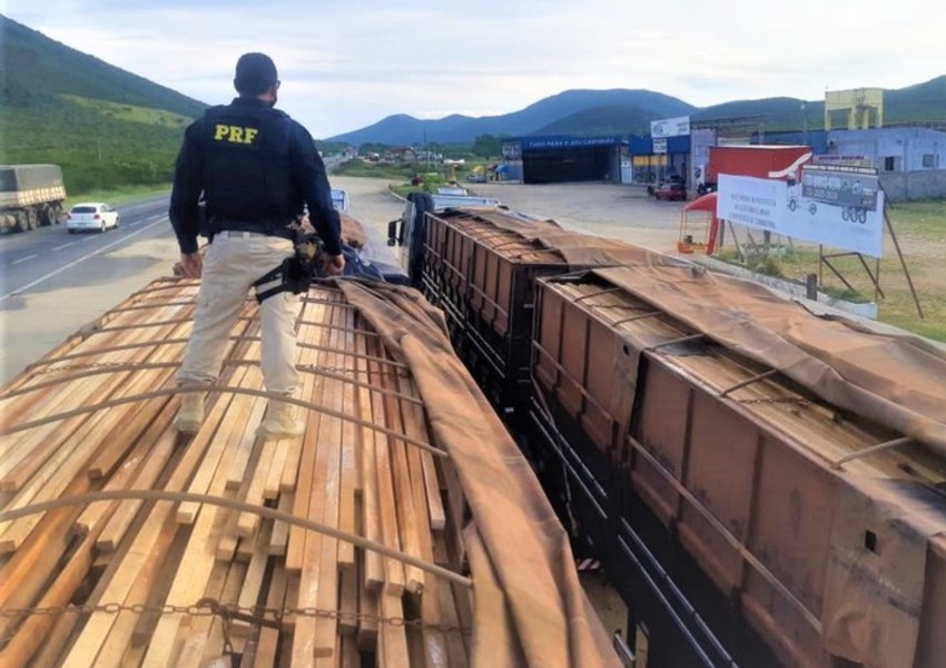 Ação policial apreende cerca de 100 toneladas de madeira de origem ilegal em Jequié