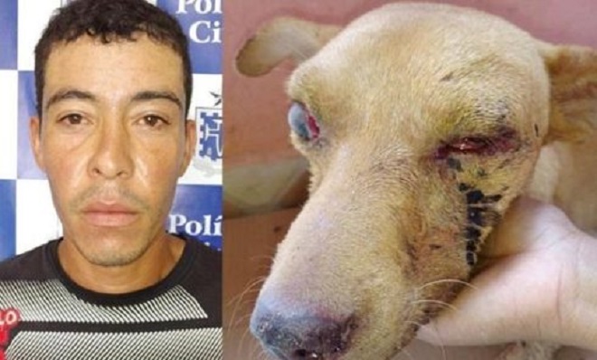 Homem é preso após espancar e perfurar os dois olhos de cachorro em Itambé