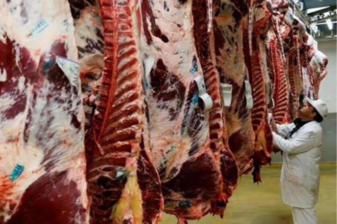 Egito, China, Finlândia e outros países suspendem importação de carne do Brasil