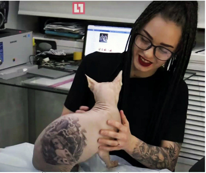Homem tatua gato de estimação e causa revolta na web
